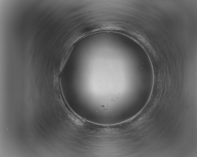 X0000076391281200610061141