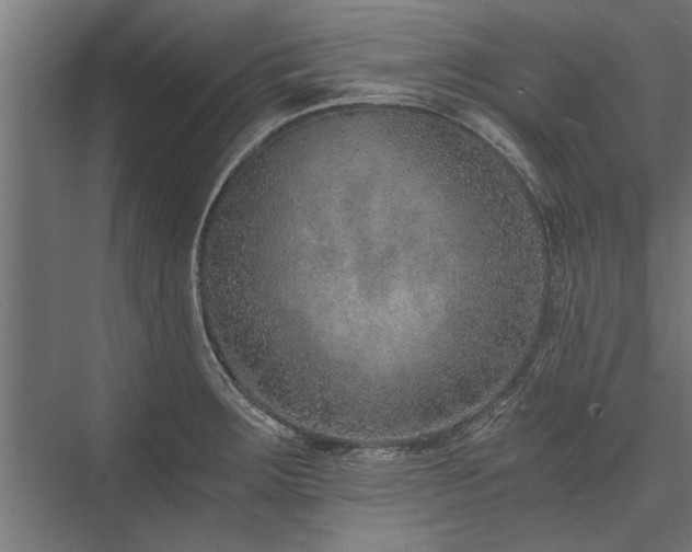 X0000076391283200610061141