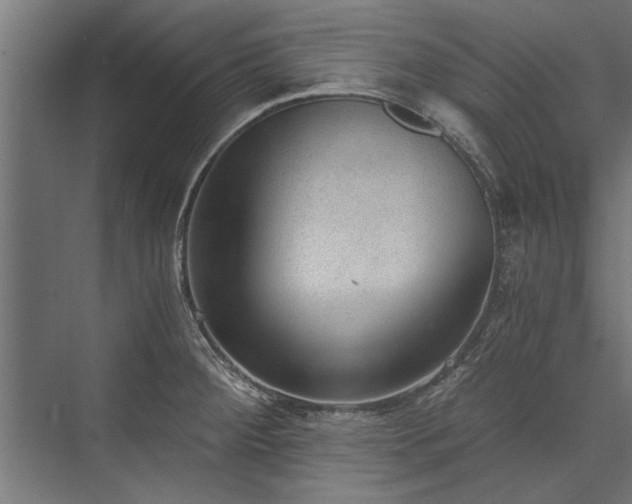 X0000076391284200610061141