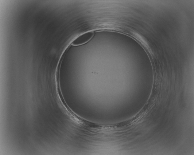 X0000076391291200610061141