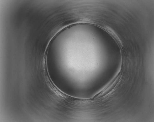 X0000076391292200610061141