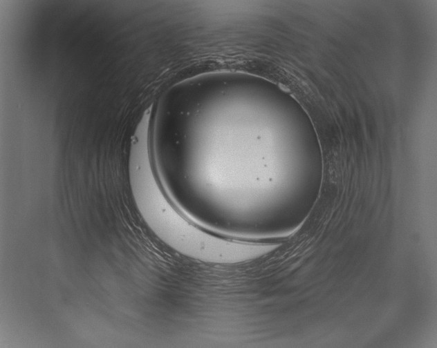 X0000076391298200610061140