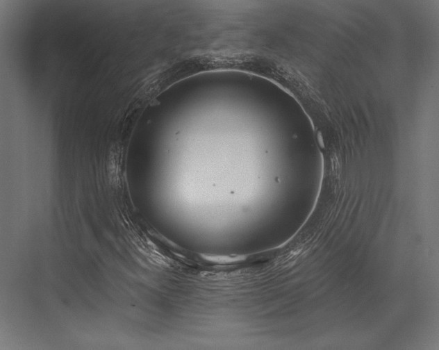 X0000076391300200610061140