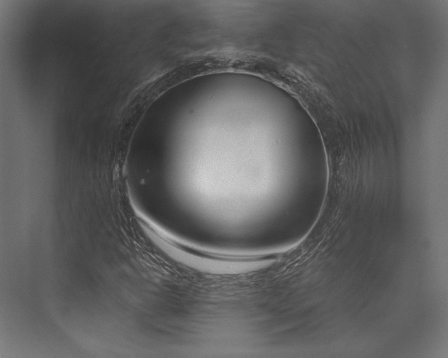 X0000076391302200610061140