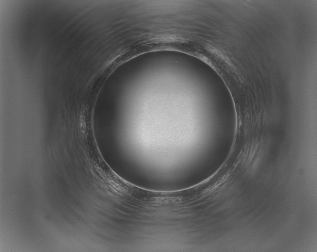 X0000076391305200610061140