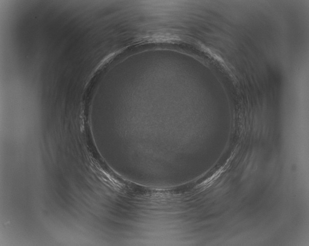 X0000076391306200610061140