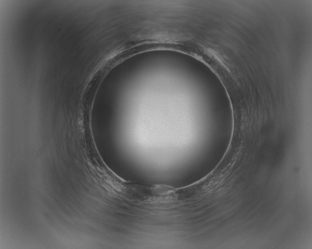X0000076391307200610061140