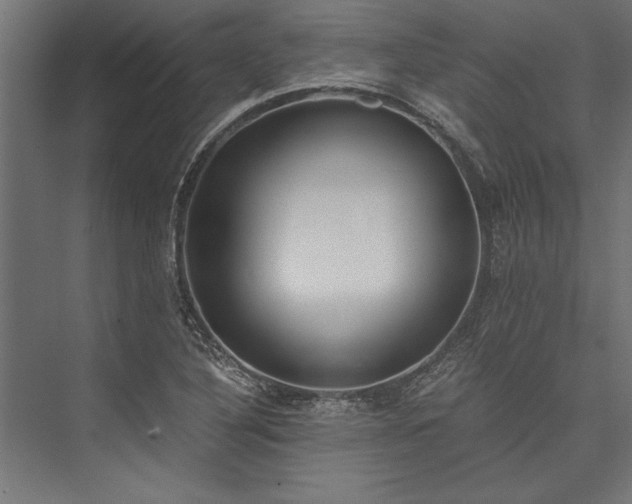X0000076391316200610061140