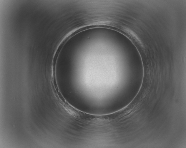 X0000076391324200610061140
