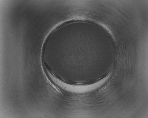 X0000076391327200610061140