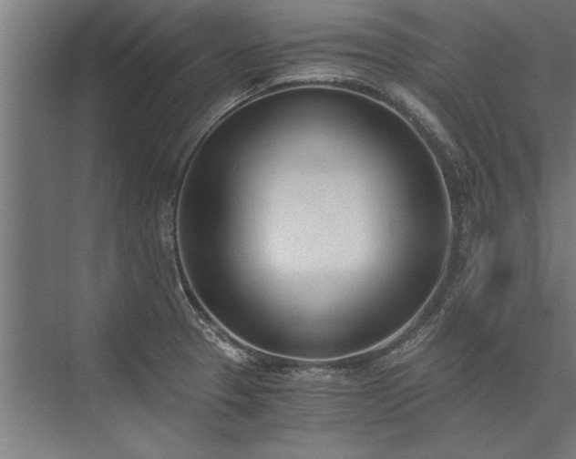 X0000076391329200610061140