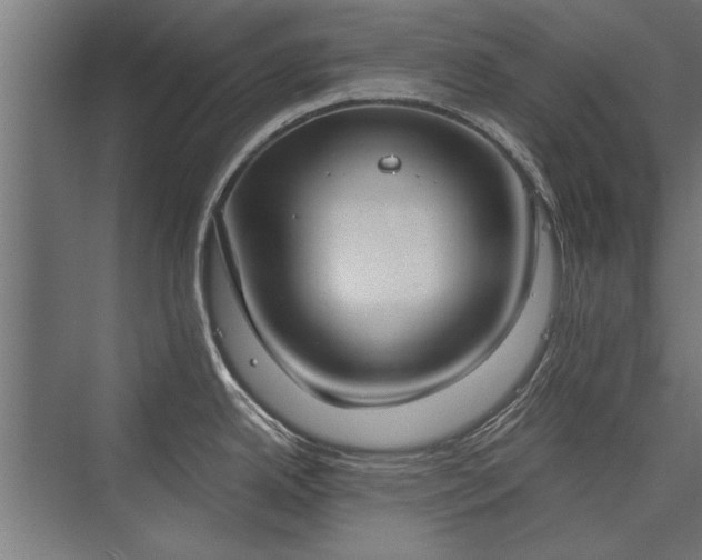 X0000076391342200610061141