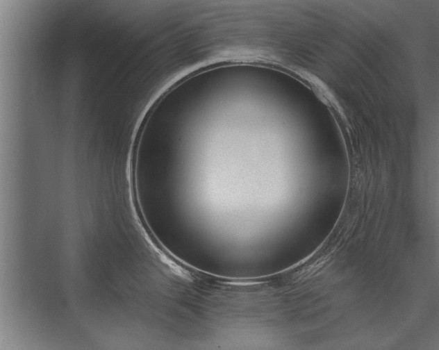 X0000076391343200610061141