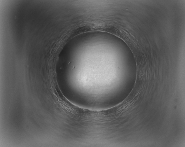 X0000076391345200610061140