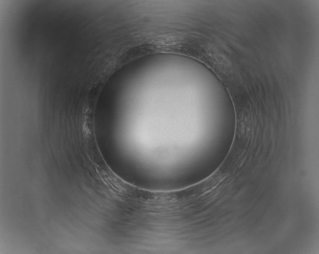 X0000076391346200610061140