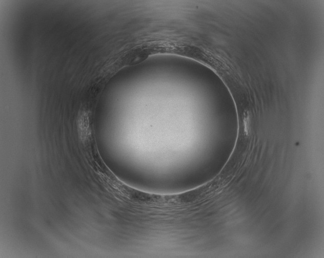 X0000076391347200610061140