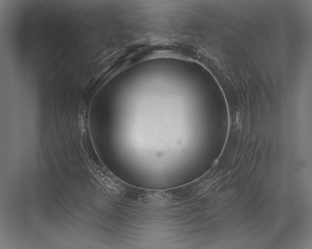 X0000076391348200610061140