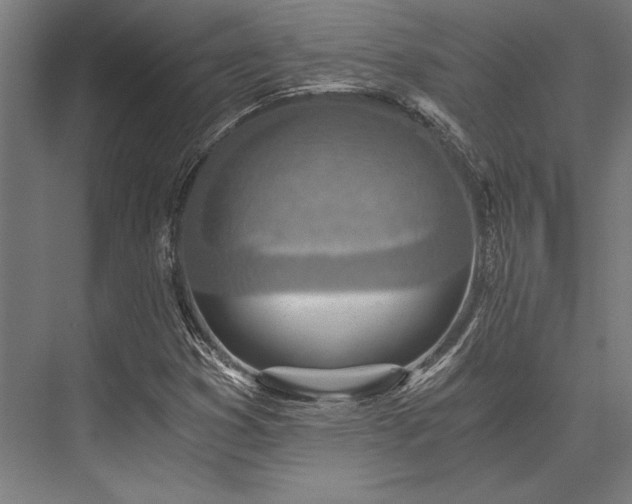 X0000076391353200610061140