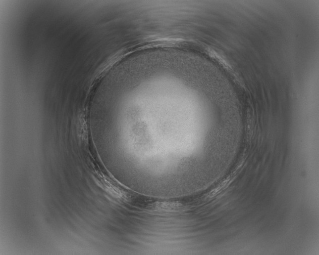 X0000076391354200610061140