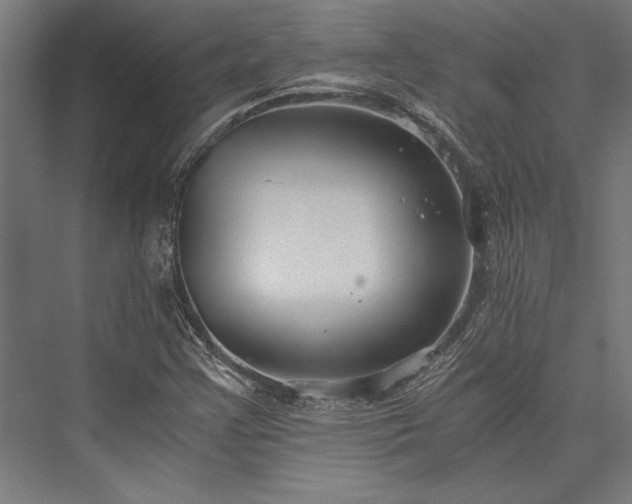 X0000076391355200610061140