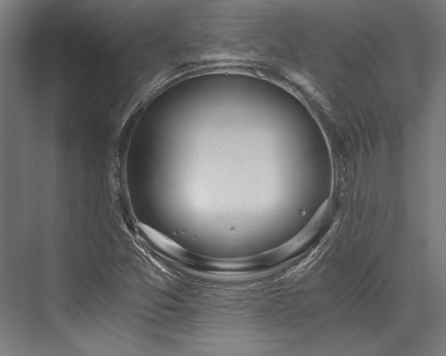 X0000076391357200610061140