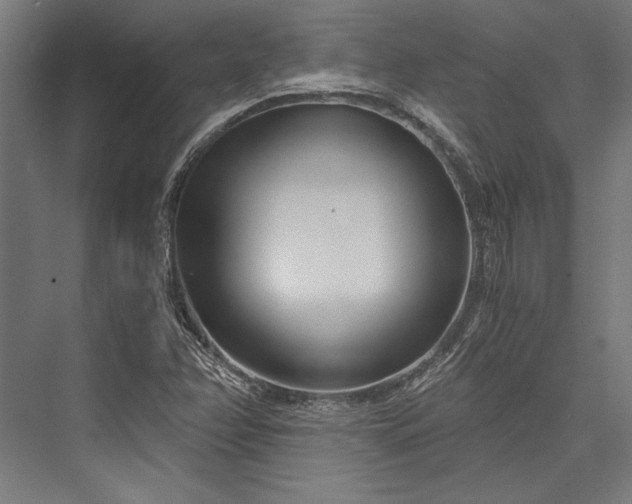 X0000076391358200610061140