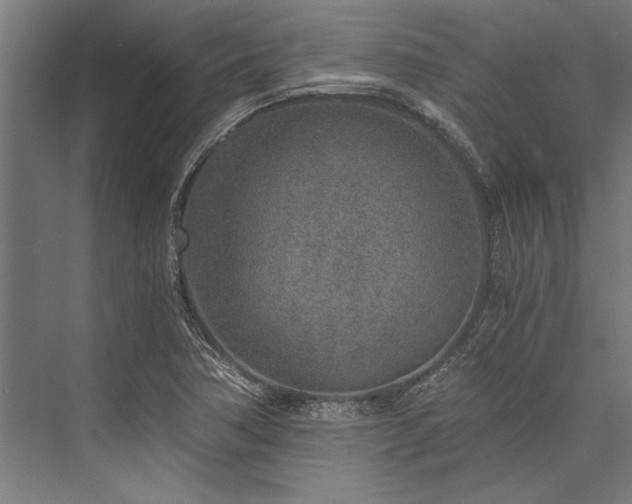 X0000076391362200610061139