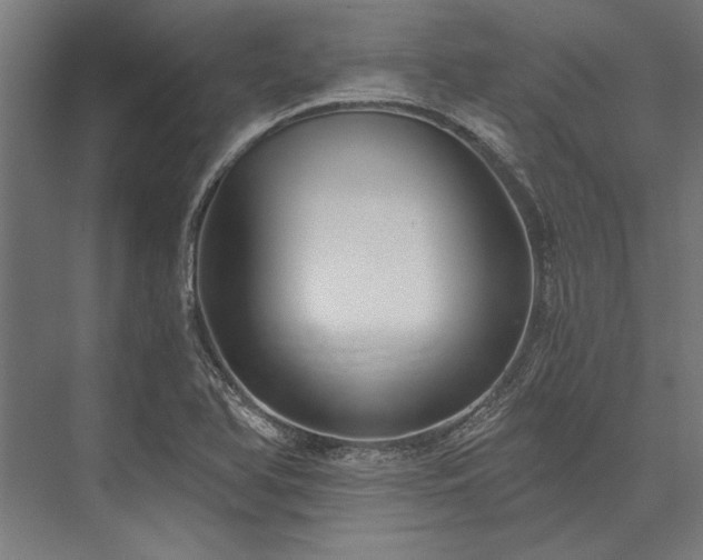 X0000076391366200610061139