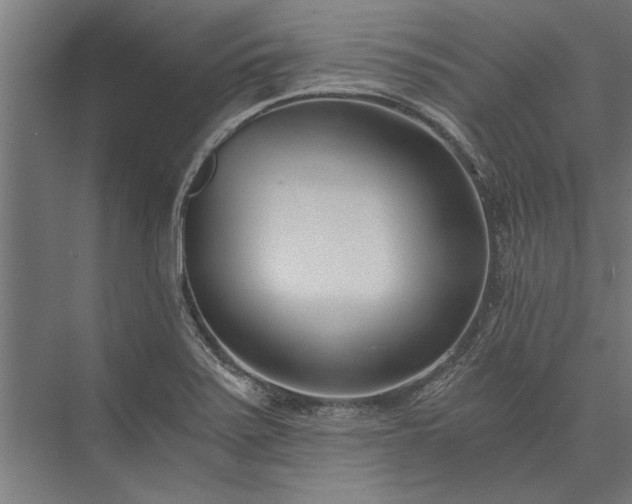 X0000076391371200610061139