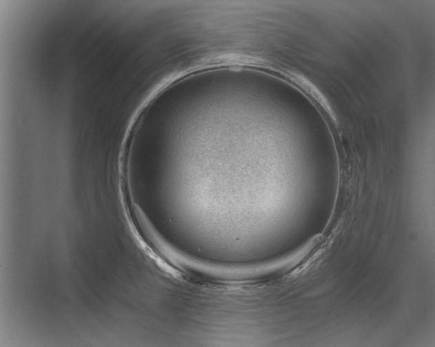 X0000076391381200610061139