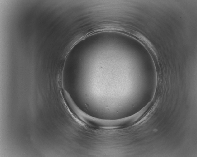 X0000076391385200610061139