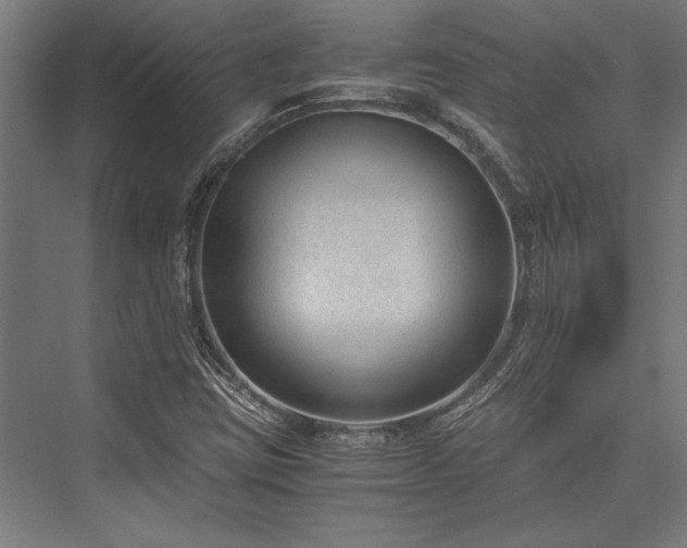 X0000076391403200610061138