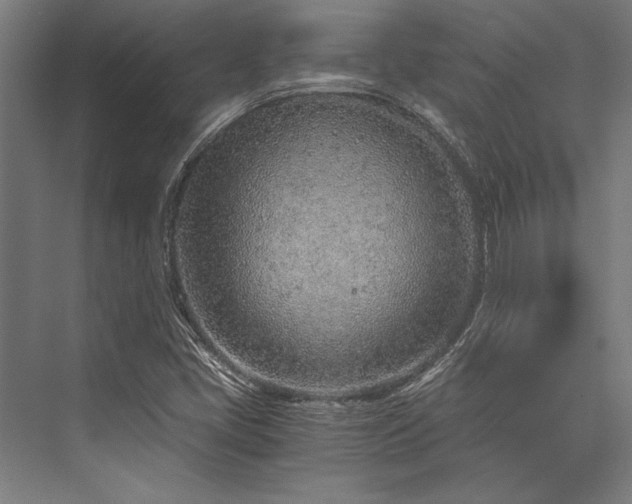X0000076391405200610061138