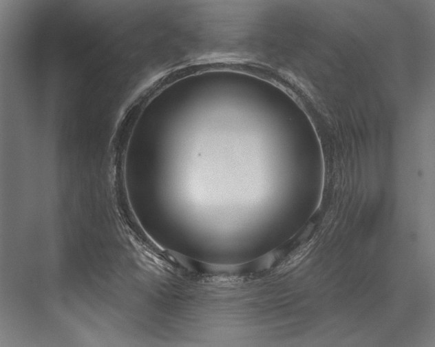 X0000076391406200610061138