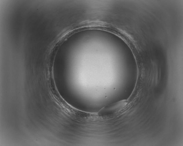 X0000076391407200610061138
