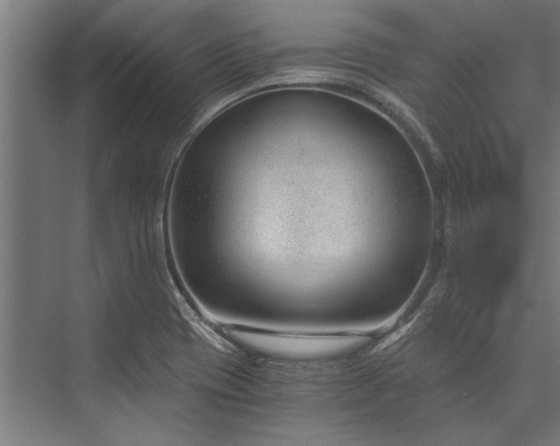 X0000076391417200610061139