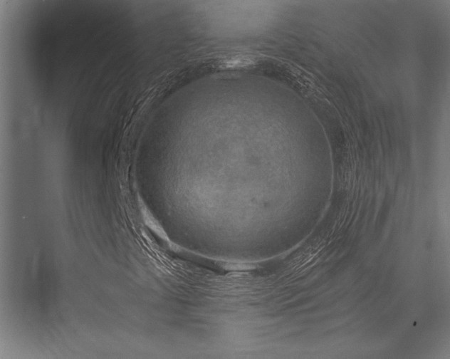 X0000076391441200610061138