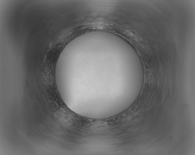 X0000076391446200610061138