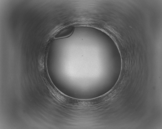 X0000076391451200610061138