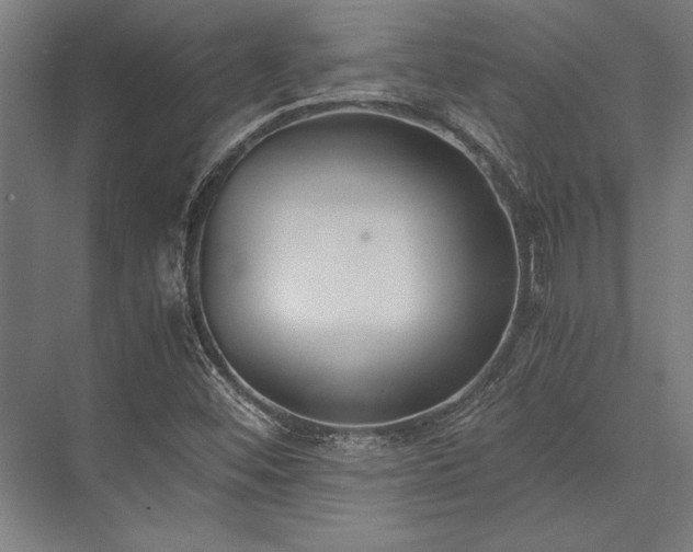 X0000076391452200610061138