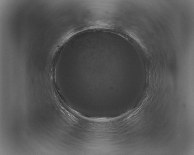 X0000076391455200610061138