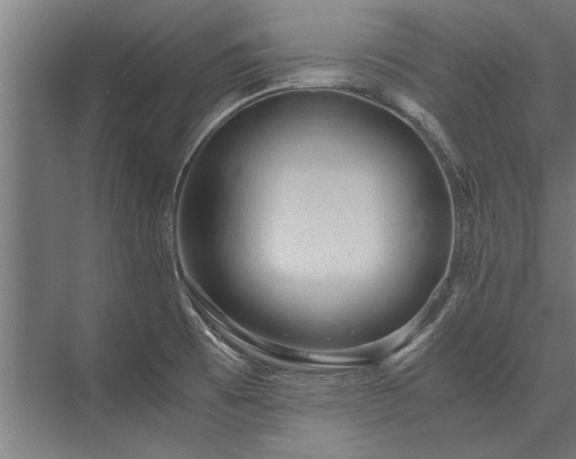 X0000076391473200610061138