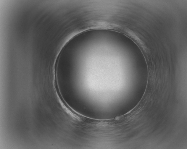 X0000076391479200610061138