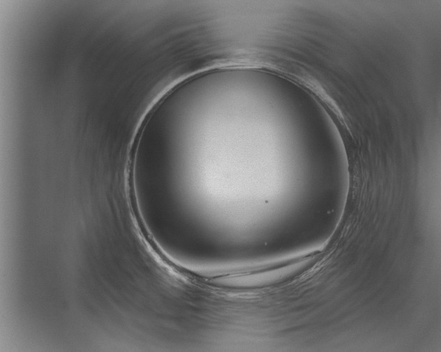 X0000076391484200610061137