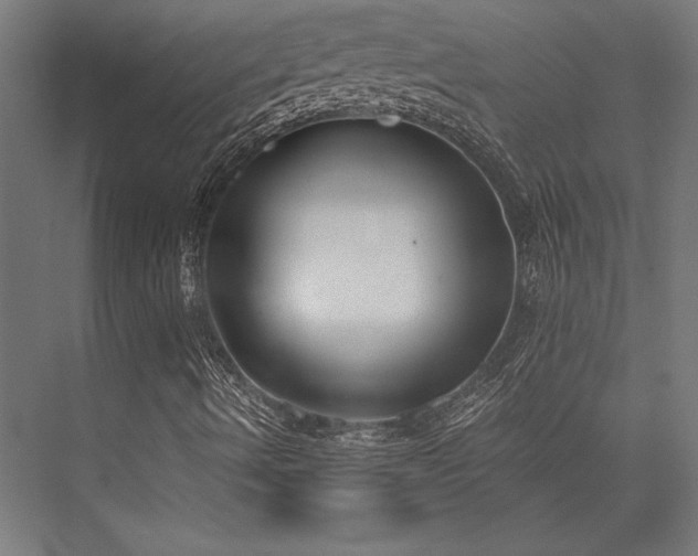 X0000076391490200610061137