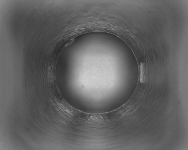 X0000076391491200610061137