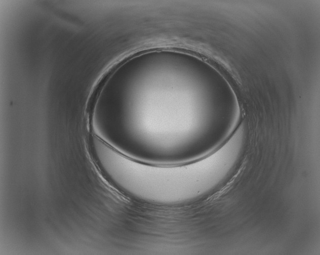 X0000076391509200610061137
