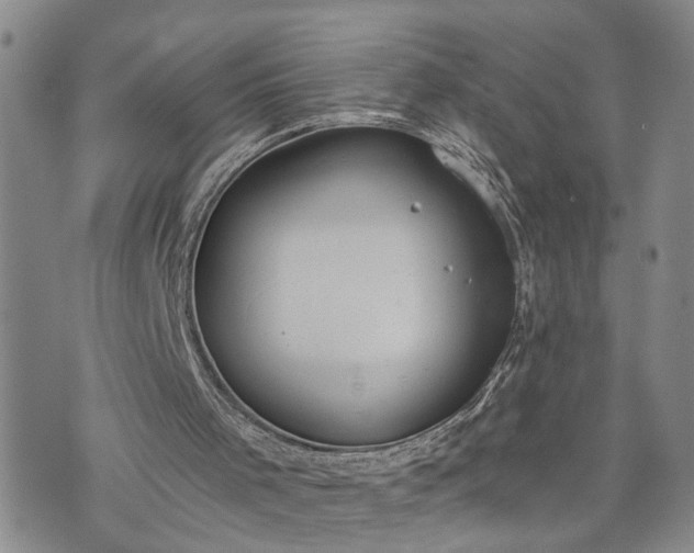 X0000076390001200610161152