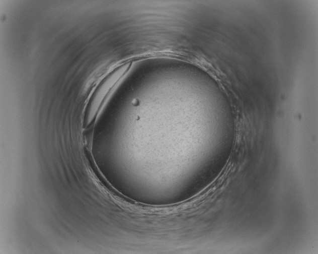 X0000076390002200610161152