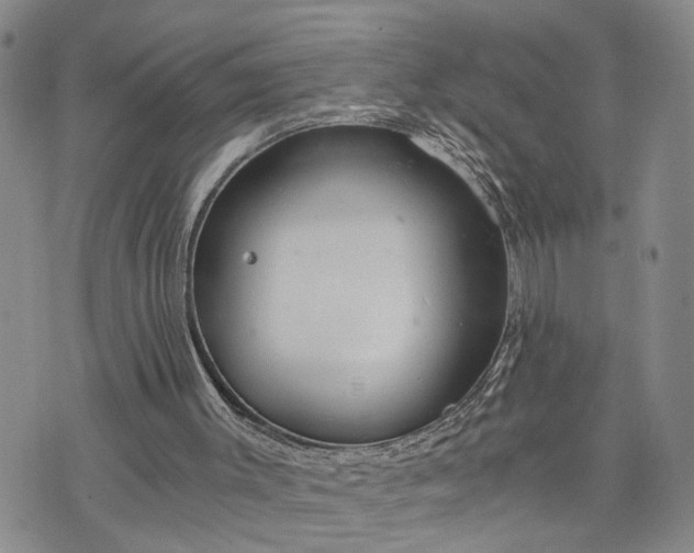 X0000076390003200610161152